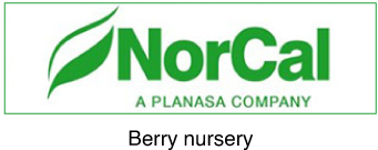 NorCal, A Planasa Company