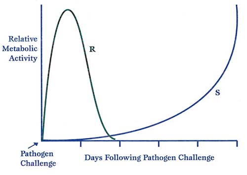 Figure 1: Days without pathogen challenge