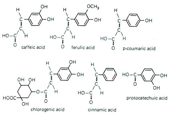 Figure 10: Misc. simple phenols and acids