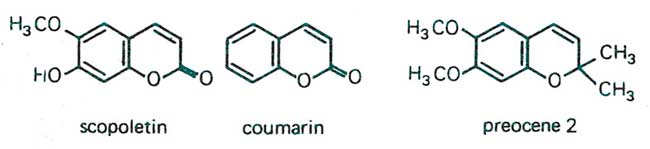 Figure 11: Coumarins formed via shikimic acid pathway