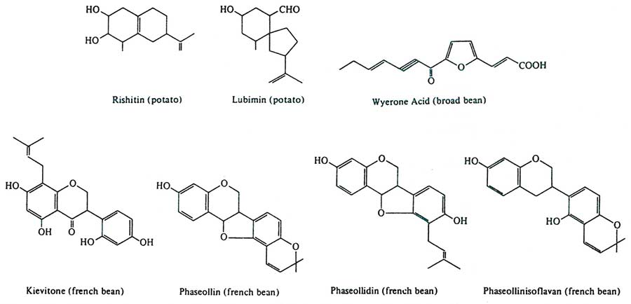 Figure 12: Phytoalexins